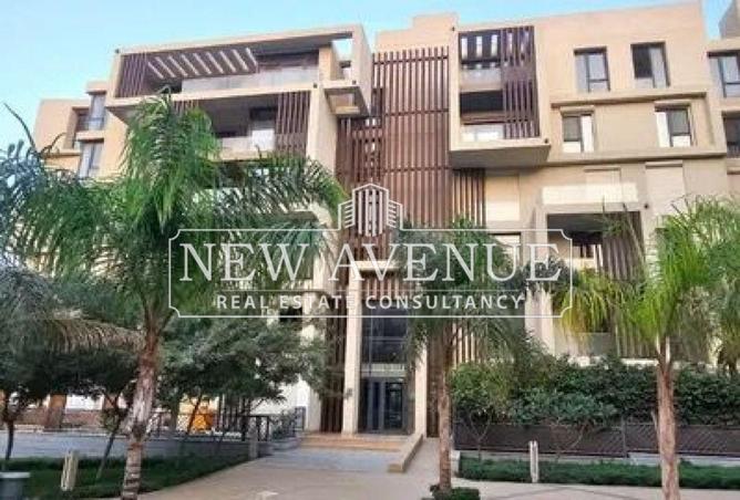 8256443 - Property Image 2