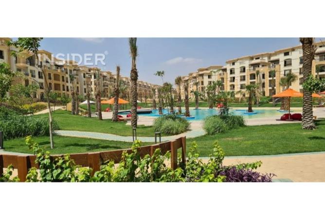 8247888 - Property Image 3