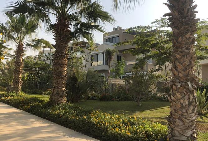 8404894 - صورة العقار 3