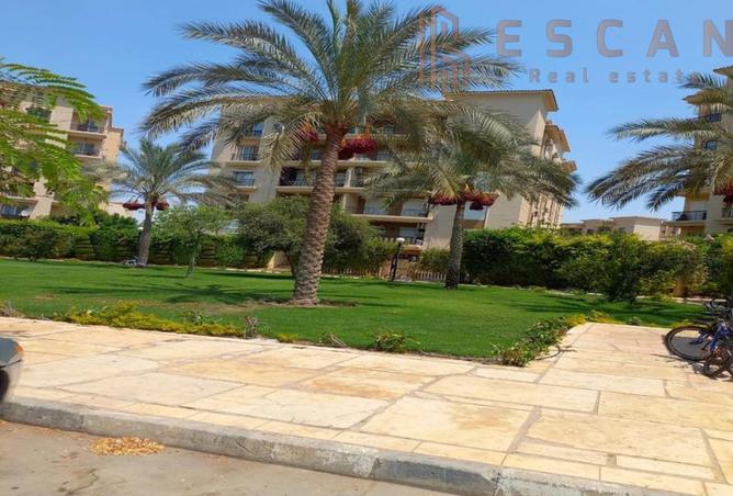 8148931 - صورة العقار 2