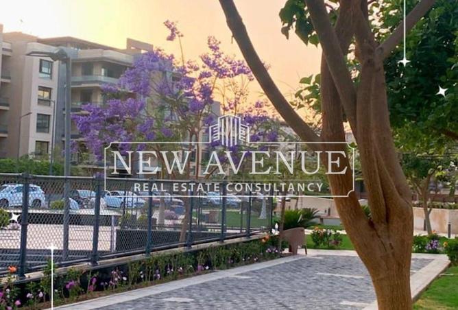 8318137 - Property Image 3