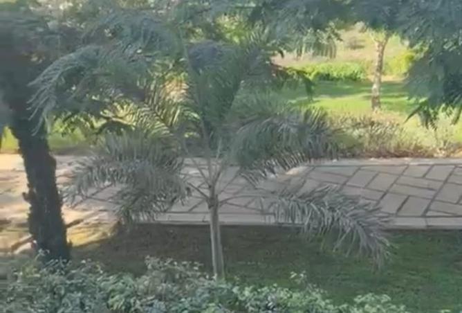 8196992 - Property Main Image