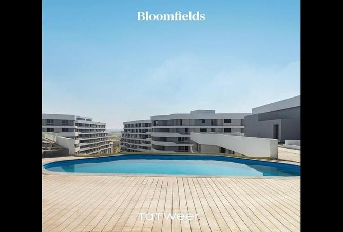 7894555 - Property Image 3