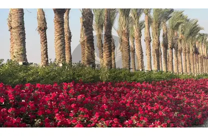 Apartment - 2 Bedrooms - 2 Bathrooms for sale in Green Square - Mostakbal City Compounds - Mostakbal City - Future City - Cairo