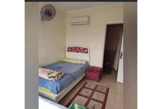 8265435 - Property Image 3