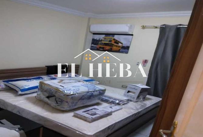 8167244 - Property Image 3