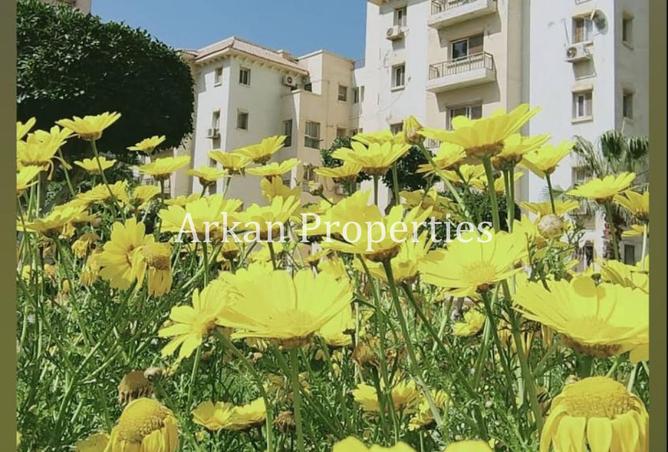 8167297 - صورة العقار 3