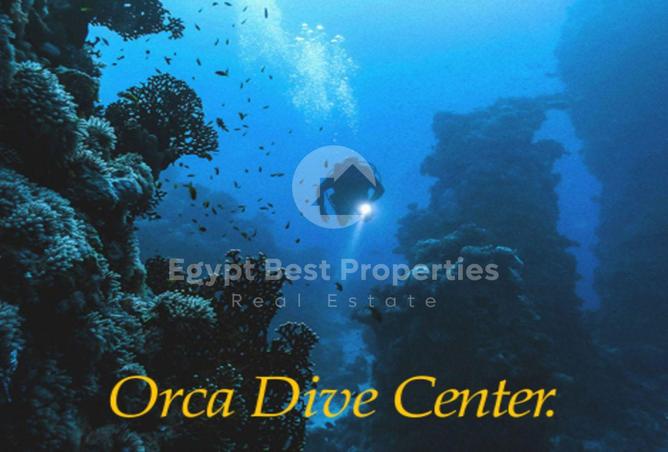 8529686 - Property Image 2