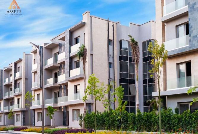 8371134 - صورة العقار 3