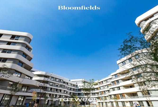 8560299 - صورة العقار 3