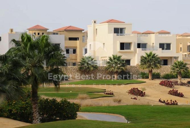 8397377 - Property Image 3