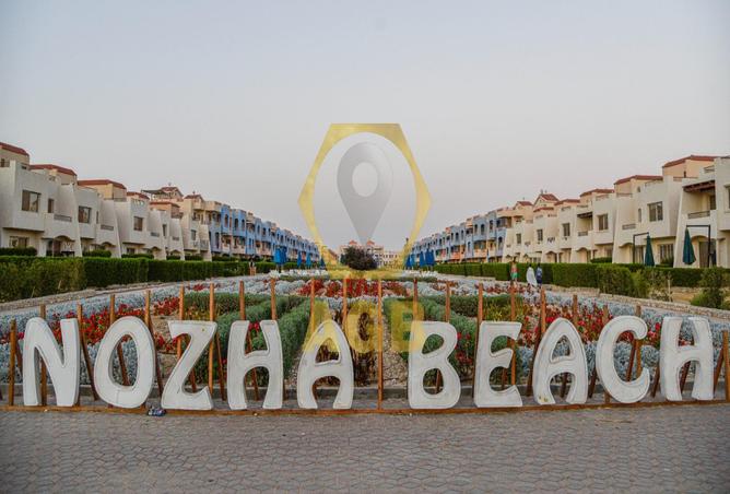 7969989 - Property Image 3