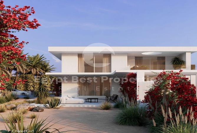 7971779 - Property Image 3