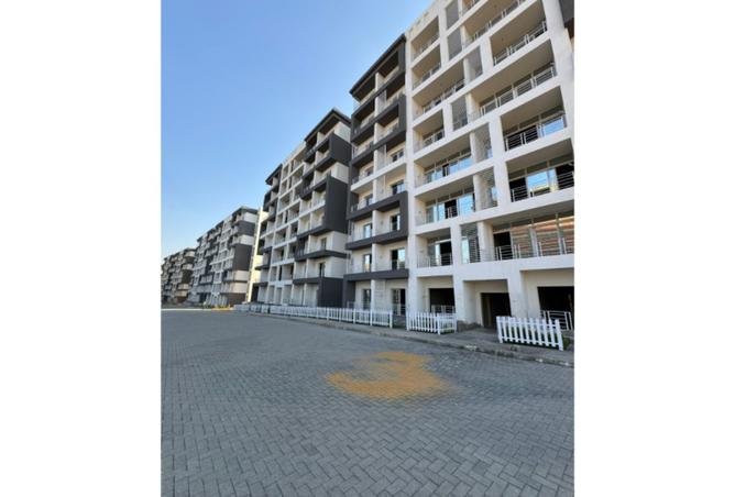 8065843 - Property Image 3