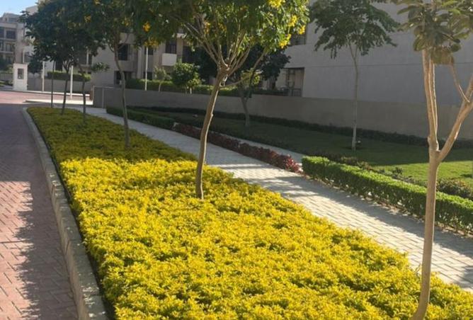 8377900 - الصورة الرئيسية للعقار