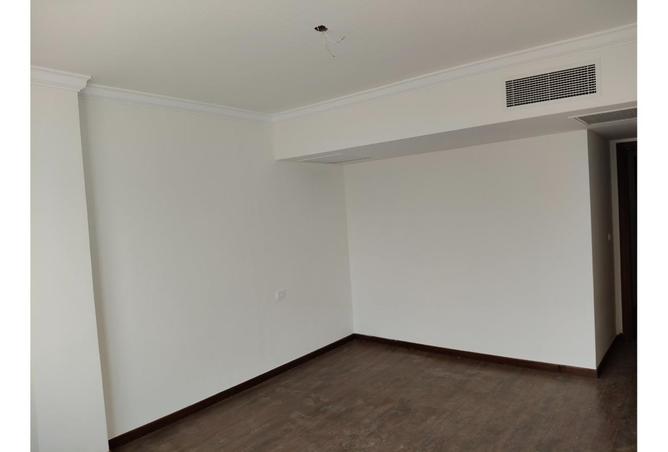 8088650 - Property Image 3