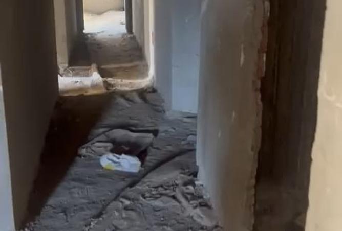 8366331 - صورة العقار 3