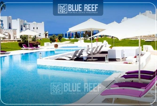 8264434 - Property Image 2