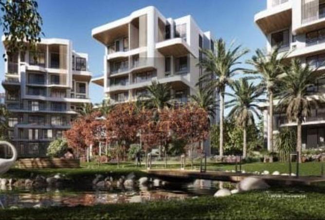 8436786 - Property Image 3