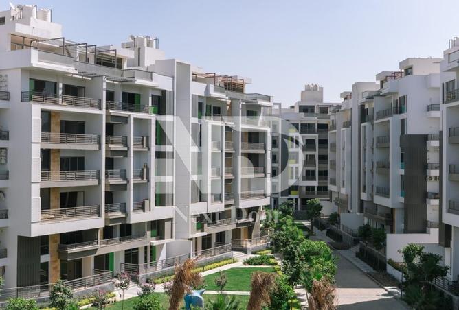 7947800 - Property Image 3