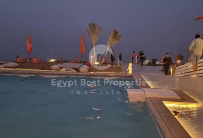 8299164 - Property Image 3