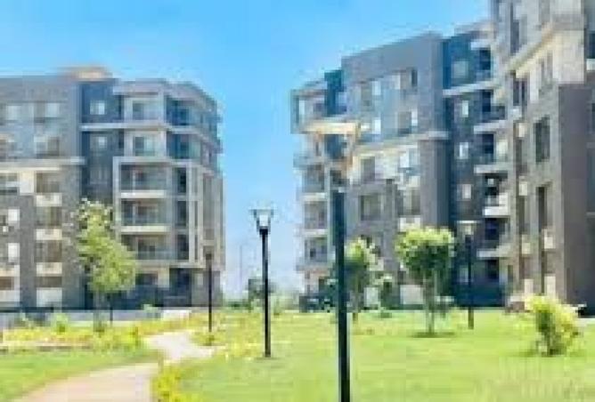 8097701 - Property Image 2