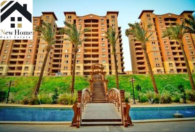 8392286 - Property Image 3