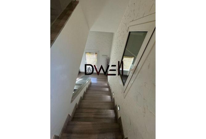 8246092 - صورة العقار 3