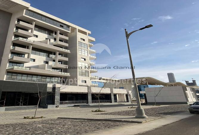 7978509 - صورة العقار 3