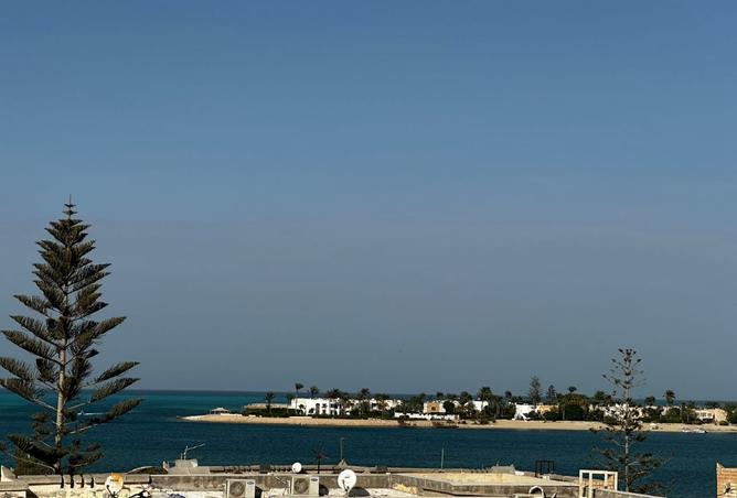 8040412 - صورة العقار 3