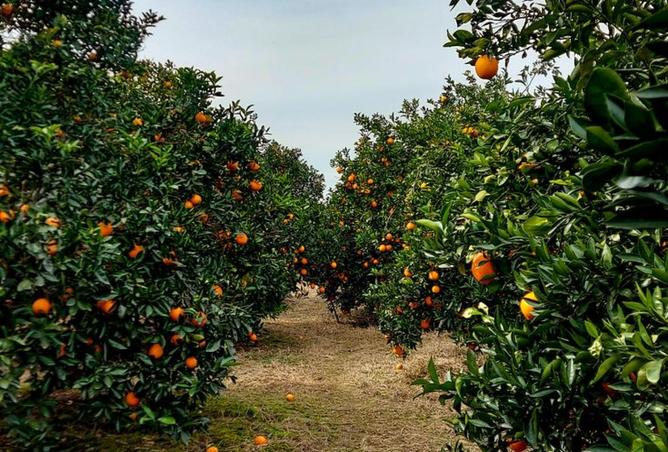 8077717 - Property Image 3