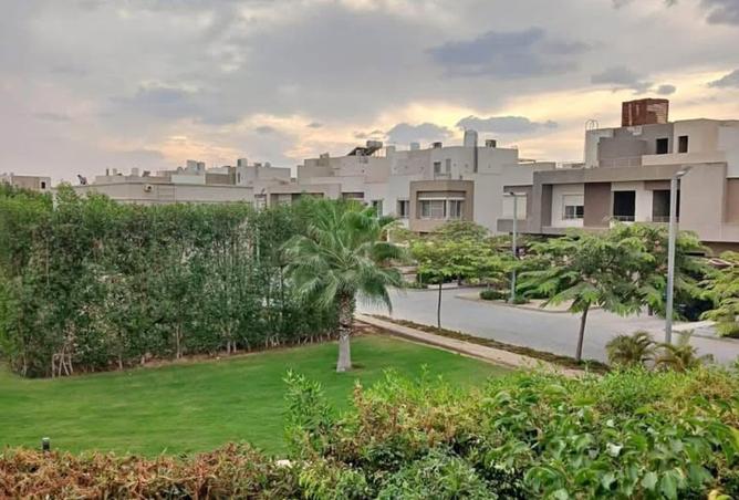 7901002 - صورة العقار 3