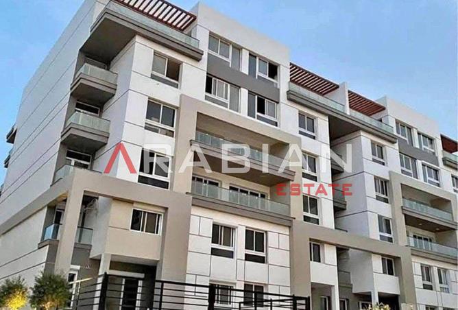 8293982 - Property Image 3