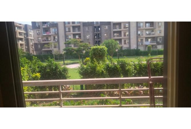 8006619 - Property Image 2