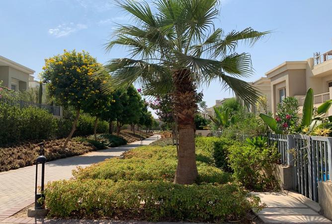 8432828 - صورة العقار 2