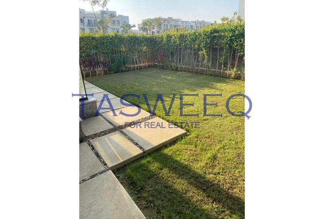 7996261 - Property Image 3