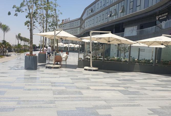 8551233 - Property Image 3