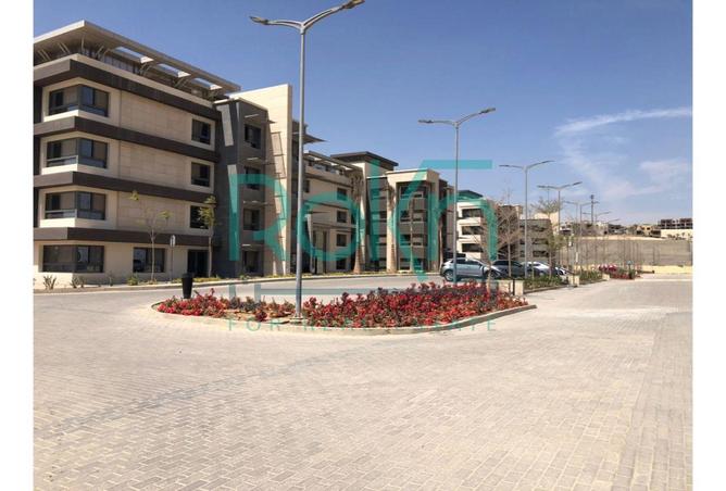 8239119 - صورة العقار 3