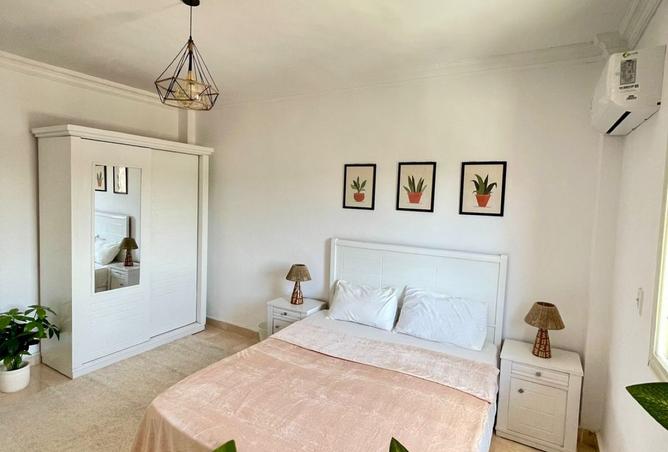 7887974 - Property Image 3
