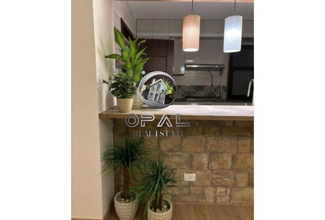 8076972 - Property Image 3