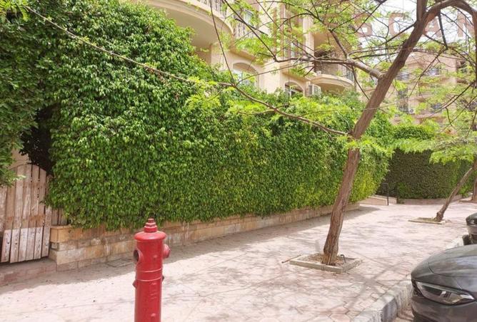 8257910 - Property Image 3