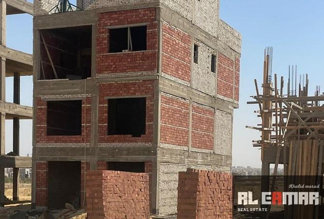 8239781 - Property Image 3