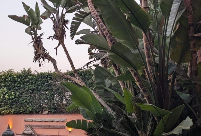 8190719 - Property Image 2