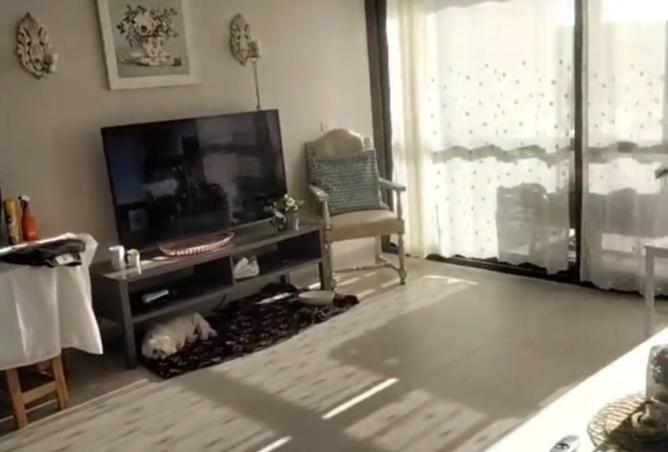 8454656 - صورة العقار 2