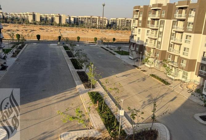 8177307 - Property Image 3