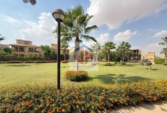 8167146 - Property Image 3