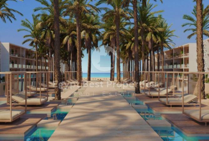 8288779 - Property Image 3