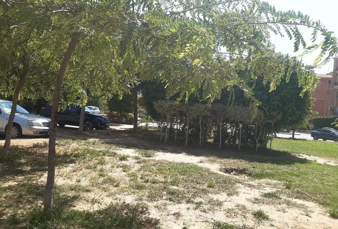 8236679 - Property Image 3