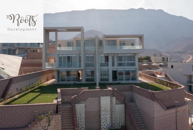 8246528 - Property Image 3