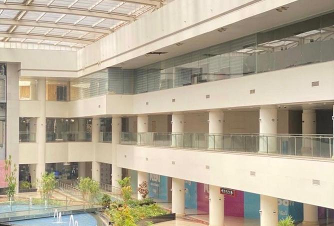 8174228 - صورة العقار 3